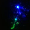 Malen mit Licht